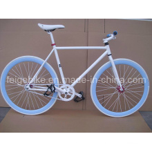 Good Quality Road Bike Fixie Bicycle (FP-FGB005)